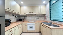 The Hillside (D21), Condominium #471807301